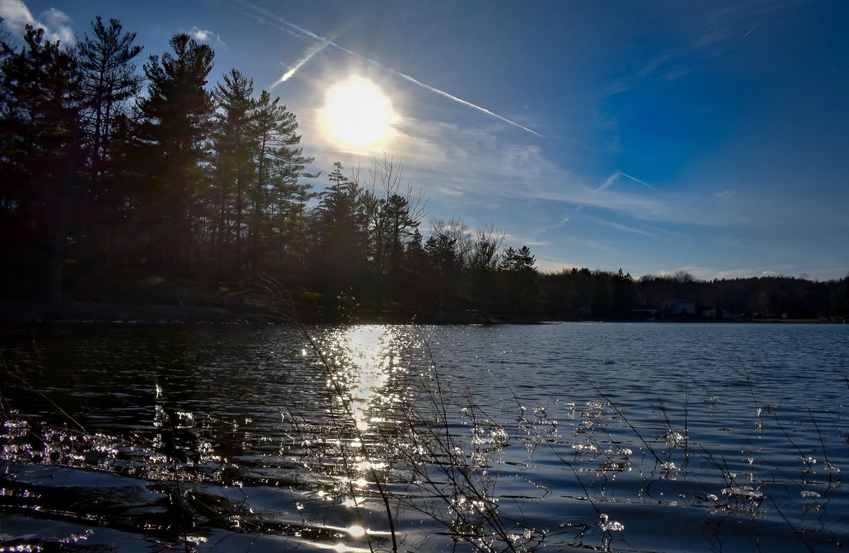 Sun, Lake, Ice and Forest