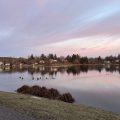 IMG_2844